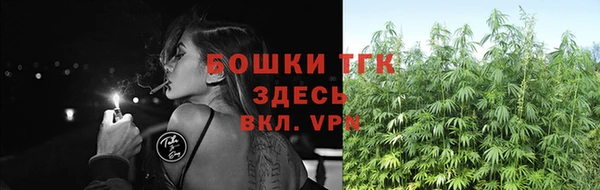 круглые Пересвет