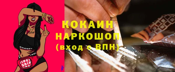 гашик Пестово