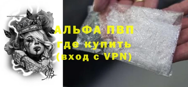 гашик Пестово