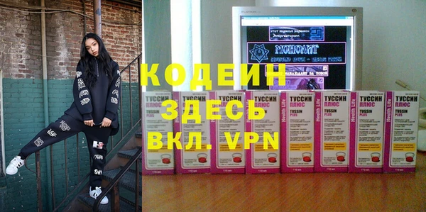 хмурый Покров