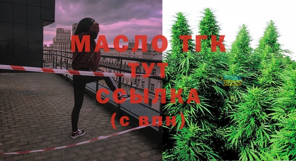 гашик Пестово