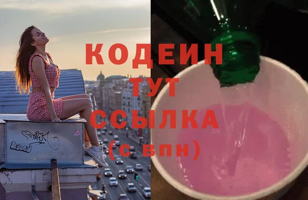 хмурый Покров