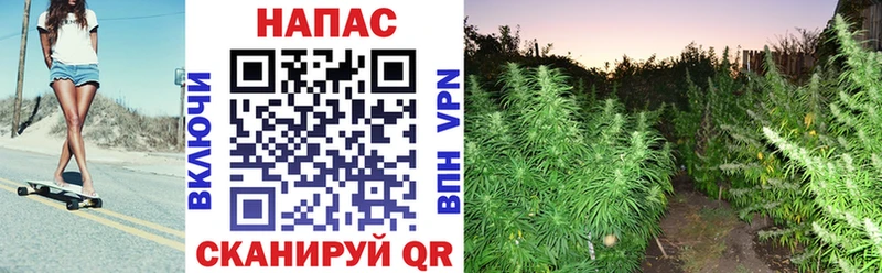 Шишки марихуана ГИДРОПОН  Богучар 